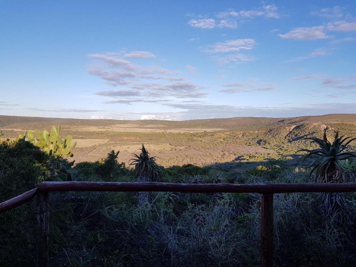 Camp Acacia Villa Paterson Dış mekan fotoğraf